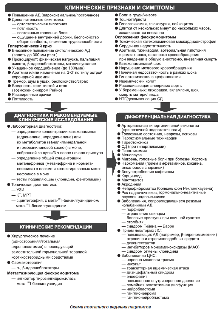 patogenezi hipertenzije u feokromocitoma