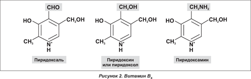 активная форма витамина pp