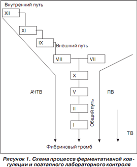 диета при бруцеллезе
