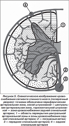 http://www.mif-ua.com/frmtext/MNS/2010/2(27)-2010/13/8.png