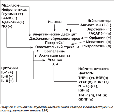 конец белых от