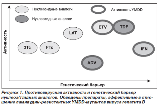 Хронический вирусный гепатит В: пегинтерферон или нуклеоз(т)идные .