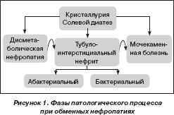 нут  в диетическом питании