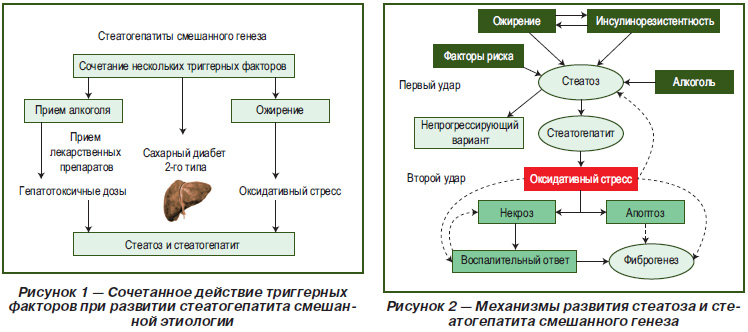 Инсулинорезистентность Без Лишнего Веса