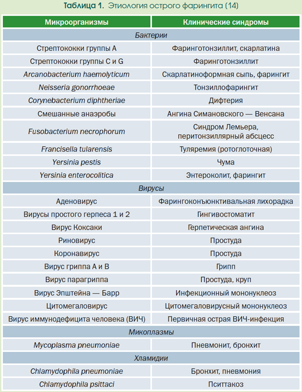 Фото Ангин И Их Характеристики