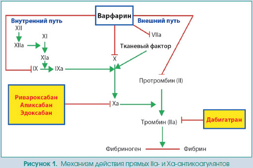 Целевые специфические антидоты для новых оральных антикоагулянтов .