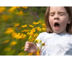 Treatment of allergic rhinitis in children: old problem, new solutions