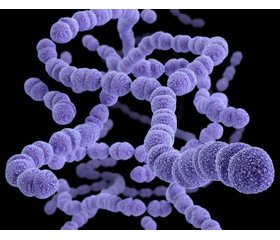 The place of endogenous antimicrobial peptides  in the pathogenetic mechanisms of the development  of community-acquired pneumonia caused by Streptococcus pneumoniae among infants