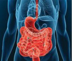 Clinical and endoscopic features  of the upper digestive tract pathology in children  and adolescents depending on age