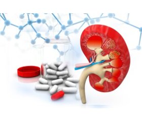 Современные подходы к лечению хронической болезни почек: в фокусе ренопротекция