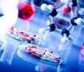 Особливості порушень функціонування нирок у дітей із системним червоним вовчаком та ювенільним ідіопатичним артритом