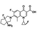 Present and future etiological treatment of bacterial pneumonia 2. Antibiotic therapy of hospital-acquired pneumonia