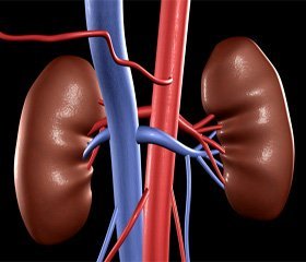 Prevention of Contrast Induced Acute Kidney Injury  (CI-AKI) In Adult Patients
