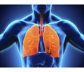 The experience of using bacterial lysates obtained by mechanical lysis in the treatment of inflammatory diseases of the upper respiratory tract in children