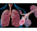 Світовий досвід з питань діагностики інтерстиціальних захворювань легень у дітей (up-date 2017)