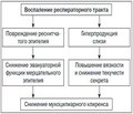 Патогенетическое обоснование выбора муколитических средств полинаправленного действия при лечении заболеваний органов дыхания у детей.