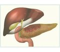 Визначення внутрішньочеревного тиску у хворих із тяжкою формою гострого панкреатиту