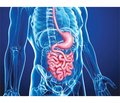 Захворювання органів шлунково-кишкового тракту при супутній патології щитоподібної залози (огляд літератури)