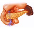 Динаміка функціонального стану тромбоцитів у хворих на гострий панкреатит