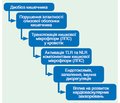 Характер порушень кишкової мікрофлори при кардіоваскулярних захворюваннях