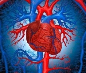 Особливості функціонального стану   серцево-судинної системи у дітей із целіакією