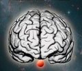 Изучение особенностей семейного наследования неактивных аденом гипофиза в Республике Узбекистан