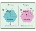 Роль гендерного диморфизма в развитии и исходах хронических вирусных гепатитов