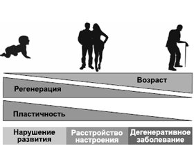 Гамалате B6. Обзор ГАМКергического продукта