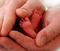 Коррекция отрицательного йодного баланса  преждевременно родившихся детей в неонатальном периоде путем введения в рацион матерей  йодсодержащих препаратов