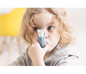 Sensitization to cat allergens in children with bronchial asthma