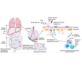 Патофізіологічні основи гепатопульмонального синдрому