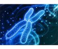 Синдром Шерешевського — Тернера: фенотипова варіабельність хромосомного поліморфізму