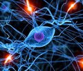 История кафедры нервных болезней ГУ «Запорожская медицинская академия последипломного образования МЗ Украины»