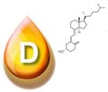 Assessing vitamin D status: what/when to measure and how to interpret the result