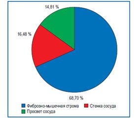 Морфоанатомическое обоснование раннего удержания мочи после выполнения радикальной простатэктомии