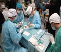 Клинико-экспериментальное обоснование применения прецизионного кишечного шва у больных с высокой степенью вероятности возникновения послеоперационных осложнений