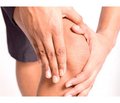 Application of lectinhistochemistry to study the morphology and reactivity of the articular cartilage