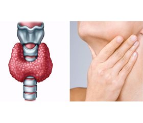 Особливості перебігу анемічного синдрому при дисфункції щитоподібної залози