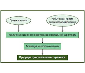 Стеатоз печени и стеатогепатит —  неизбежность смешанного генеза