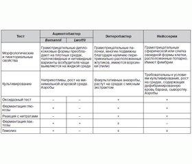 Роль ацинетобактерий в возникновении проблемных инфекций