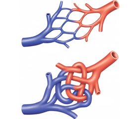 Церебральная гемодинамика у пациентов с артериовенозными мальформациями