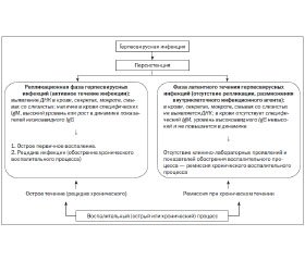 Доклад по теме Цитомегаловирусная инфекция