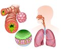 Glucocorticoids in the treatment of acute respiratory distress syndrome: pros and cons. Literature review