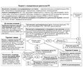 Ревматическая полимиалгия в клинических рекомендациях 2018–2020 годов. Часть I. Группы риска, адъювантная терапия