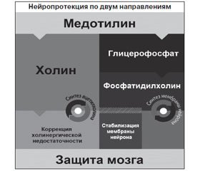 Тактика ведения черепно-мозговой травмы в остром и восстановительном периодах
