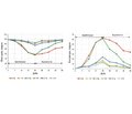 Вплив низькочастотної вібрації на відновлення обсягу рухів колінного суглоба лабораторних тварин після іммобілізації (експериментальне дослідження)