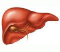 The comparative evaluation of the state of hepatobiliary system in children who live in the ecologically unfavourable districts polluted with different types of xenobiotics