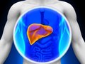 ACG Clinical Guideline: The Diagnosis and Management of Idiosyncratic Drug-Induced Liver Injury