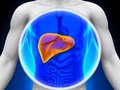 ACG Clinical Guideline: The Diagnosis and Management of Idiosyncratic Drug-Induced Liver Injury