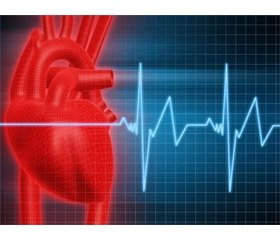 Experience in the use of extracorporal membrane oxygenation in the treatment of acute myocardial infarction complicated by cardiogenic shock